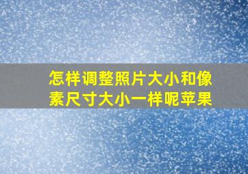 怎样调整照片大小和像素尺寸大小一样呢苹果