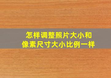 怎样调整照片大小和像素尺寸大小比例一样