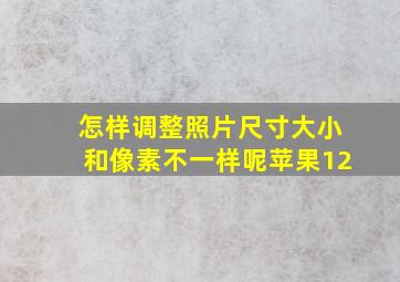 怎样调整照片尺寸大小和像素不一样呢苹果12