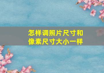 怎样调照片尺寸和像素尺寸大小一样