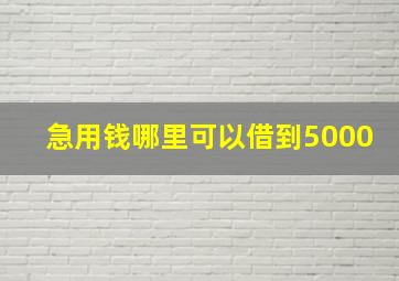 急用钱哪里可以借到5000