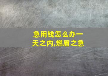 急用钱怎么办一天之内,燃眉之急