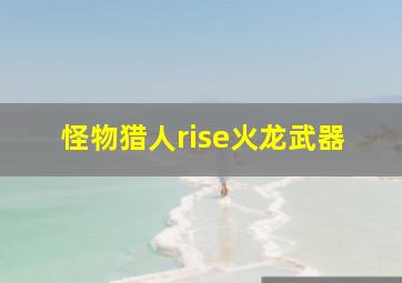 怪物猎人rise火龙武器