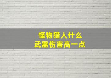 怪物猎人什么武器伤害高一点