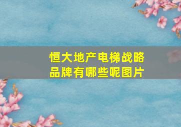 恒大地产电梯战略品牌有哪些呢图片