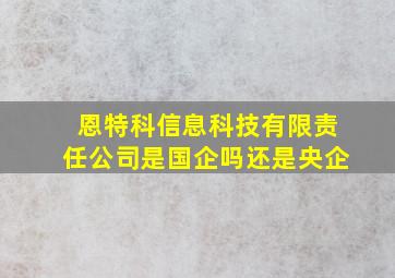 恩特科信息科技有限责任公司是国企吗还是央企