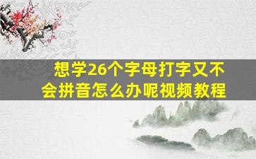 想学26个字母打字又不会拼音怎么办呢视频教程