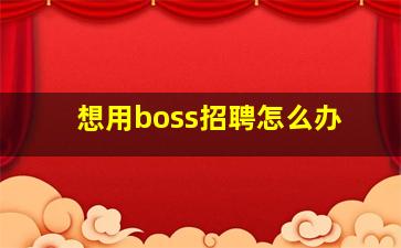 想用boss招聘怎么办