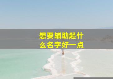 想要辅助起什么名字好一点