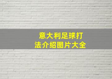 意大利足球打法介绍图片大全