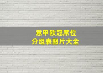 意甲欧冠席位分组表图片大全