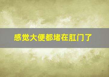 感觉大便都堵在肛门了