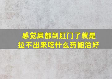 感觉屎都到肛门了就是拉不出来吃什么药能治好