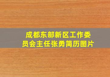 成都东部新区工作委员会主任张勇简历图片