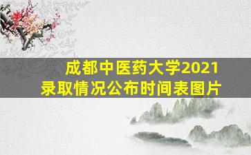 成都中医药大学2021录取情况公布时间表图片