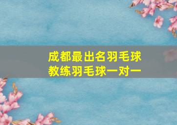 成都最出名羽毛球教练羽毛球一对一