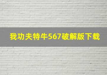 我功夫特牛567破解版下载