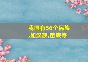 我国有56个民族,如汉族,苗族等