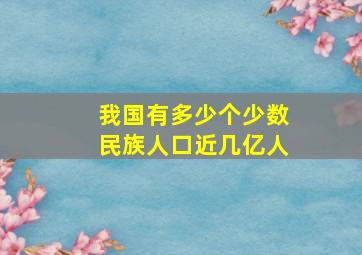 我国有多少个少数民族人口近几亿人