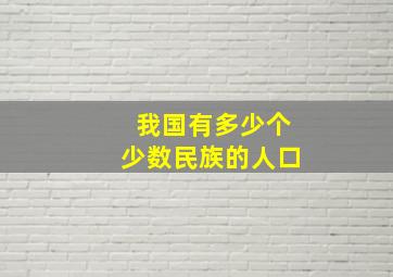 我国有多少个少数民族的人口