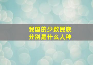 我国的少数民族分别是什么人种