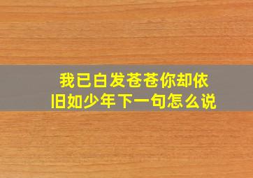 我已白发苍苍你却依旧如少年下一句怎么说