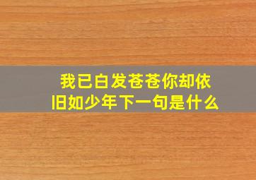 我已白发苍苍你却依旧如少年下一句是什么