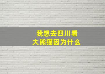 我想去四川看大熊猫因为什么