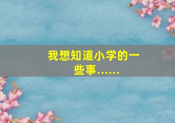 我想知道小学的一些事......