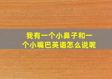 我有一个小鼻子和一个小嘴巴英语怎么说呢