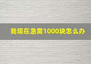 我现在急需1000块怎么办