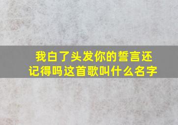 我白了头发你的誓言还记得吗这首歌叫什么名字