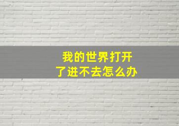 我的世界打开了进不去怎么办