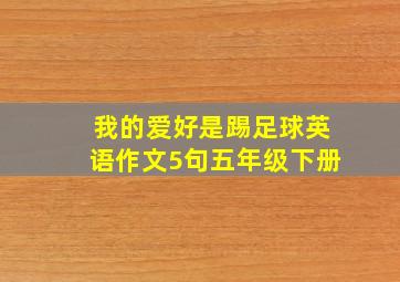 我的爱好是踢足球英语作文5句五年级下册