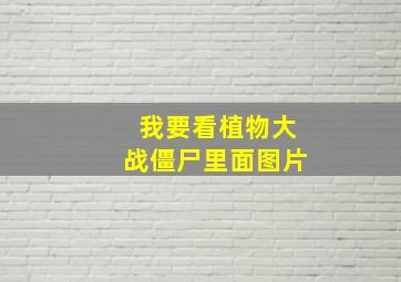 我要看植物大战僵尸里面图片