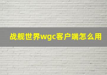 战舰世界wgc客户端怎么用