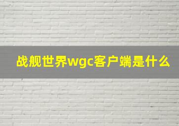 战舰世界wgc客户端是什么