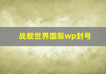 战舰世界国服wp封号