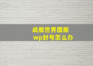 战舰世界国服wp封号怎么办