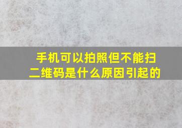 手机可以拍照但不能扫二维码是什么原因引起的