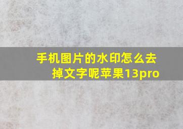 手机图片的水印怎么去掉文字呢苹果13pro