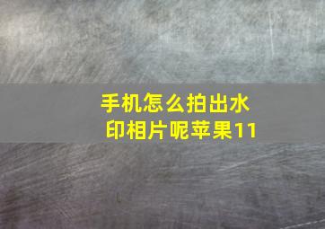 手机怎么拍出水印相片呢苹果11