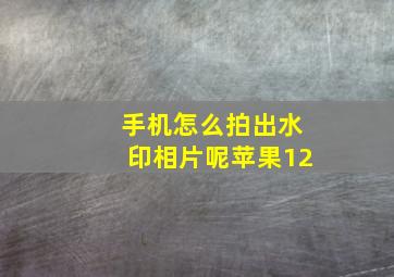 手机怎么拍出水印相片呢苹果12