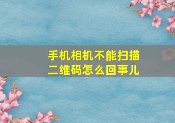 手机相机不能扫描二维码怎么回事儿