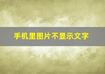 手机里图片不显示文字