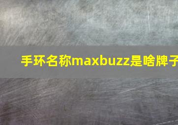 手环名称maxbuzz是啥牌子