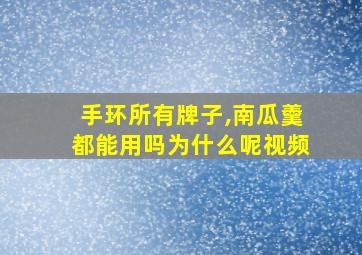 手环所有牌子,南瓜羹都能用吗为什么呢视频