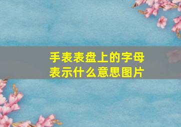 手表表盘上的字母表示什么意思图片