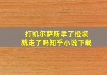 打凯尔萨斯拿了橙装就走了吗知乎小说下载