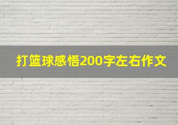 打篮球感悟200字左右作文